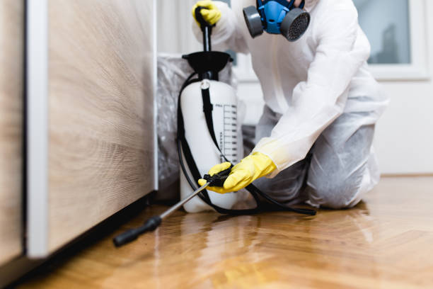 Best Pest Control for Restaurants  in Thunder Mountain, NM
