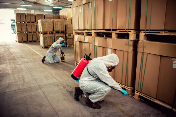 Best Wildlife Control Services  in Thunder Mountain, NM