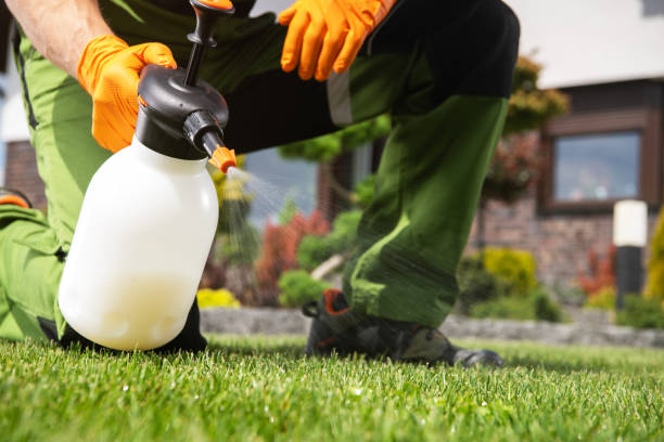 Best Pest Removal Services  in Thunder Mountain, NM