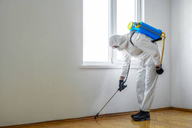 Best Bed Bug Extermination  in Thunder Mountain, NM