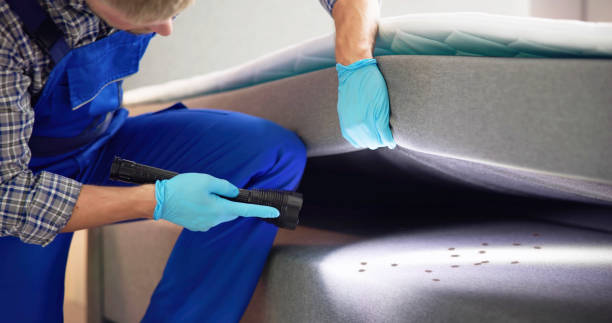 Best Flea Control Services  in Thunder Mountain, NM