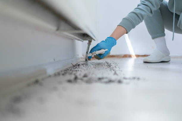 Best Pest Control Near Me  in Thunder Mountain, NM